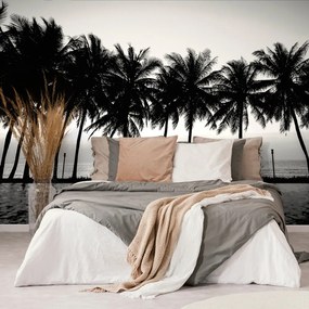 Carta da parati – Tramonto sopra le palme in bianco e nero