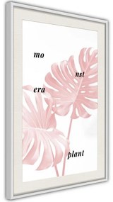 Poster  Pale Pink Monstera  Cornice Quadri Cornice d'oro, Larghezza x Altezza Home decor 20x30