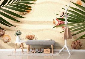 Carta da parati – Conchiglie sotto foglie di palma