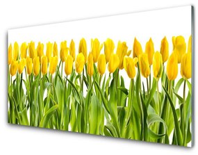 Quadro su vetro acrilico Tulipani, fiori, natura 100x50 cm
