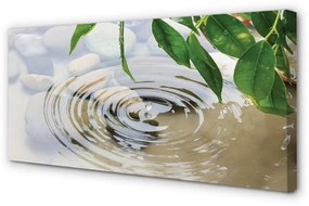 Quadro su tela Spruzzo di goccia d'acqua 100x50 cm