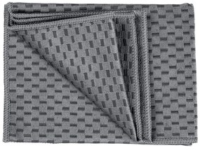 Set di 2 panni in microfibra 40x60 cm Miko - Wenko