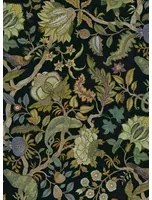 Josephine Munsey Carta da parati Chameleon Trail - Black and Green