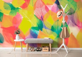 Carta da parati – Foglie in Colori Autunnali