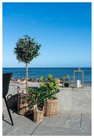 Pianta artificiale Skimmia - House Nordic