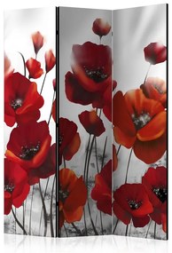 Paravento  Poppies in the Moonlight [Room Dividers]  Colore Grigio, Dimensioni e Misure 135x172