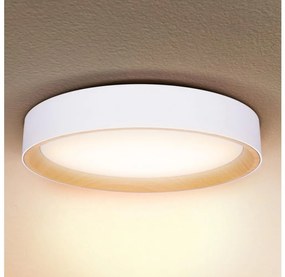 Brilagi -Luce LED dimmerabile LARIOS LED/48W/230V 3000-6500K ø 39 cm white+RC