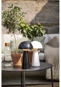 Lampada da tavolo dimmerabile a LED bianchi (altezza 28 cm) Mushroom - Star Trading