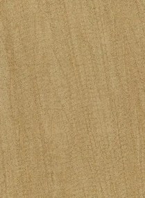 Arte Carta da parati Pristine - Antique Gold