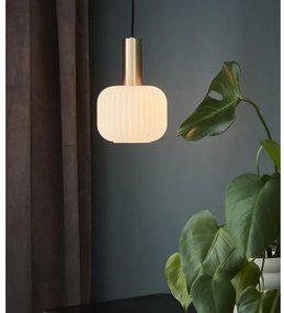 Markslöjd 108123 - Lampadario su filo SOBER 1xE14/40W/230V ottone