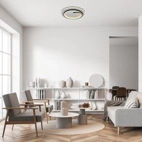 Rabalux 71366 - Plafoniera LED NILOO LED/40W/230V 4000K