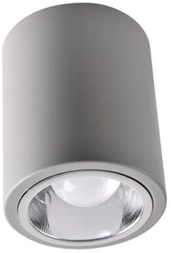 Faretto LED RGBW dimmerabile JUPITER 1xE27/6,5W/230V Ø 9,8 cm grigio