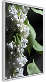 Poster Fragrant Spring