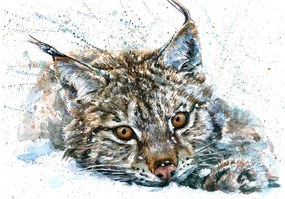 Carta da parati – Lince in acquerello