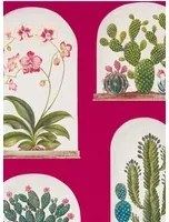 Sanderson Carta da parati Terrariums - Rhodera/ Multi