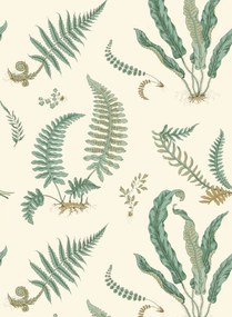 GP & J Baker Carta da parati Ferns - Verdigris