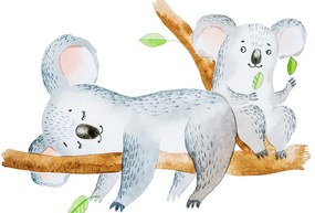 Stampa su tela – Koala adorabili