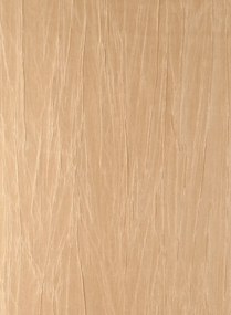 Arte Carta da parati Pyxis - Ginseng