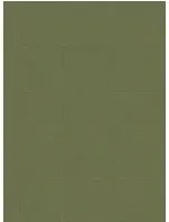 Arte International Carta da parati Campo - 21051 Grün