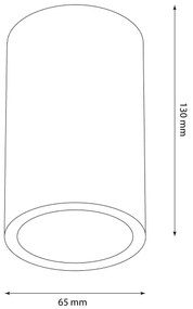 Luce Spot da esterno ATLANTA 1xGU10/10W/230V IP54 nero