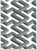 Tapete Luxor von Cole and Son - Black & White