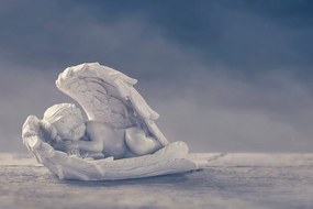 Carta da parati autoadesiva – Angioletto dormiente