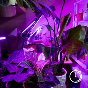 Brilagi-LED Lampada dimmerabile con clip per la coltivazione di piante VITABLOOM 3xLED/10W/230V