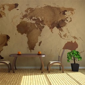 Fotomurale Mappa del mondo color tè