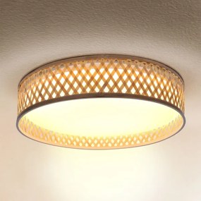Brilagi - Plafoniera LED dimmerabile CAMILA 48W 230V 3000-6500K + DO