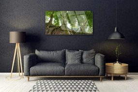 Quadro acrilico Alberi, piante, natura 100x50 cm