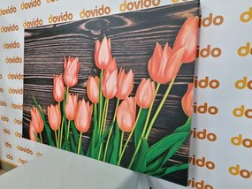 Stampa su tela – Incantevoli tulipani arancioni su sfondo di legno