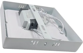 Plafoniera LED LED/12W/230V 3000K