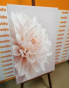 Stampa su tela – Petali bianchi