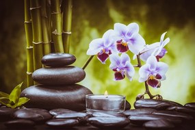 Carta da parati – Natura morta spa