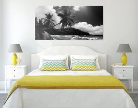 Quadro su tela – Spiaggia stupenda sull'isola delle Seychelles in bianco e nero