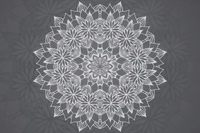 Carta da parati – Mandala con motivo primaverile