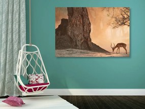 Quadro su tela – Antilope africana