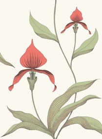 Cole & Son Carta da parati Orchid - Red on White