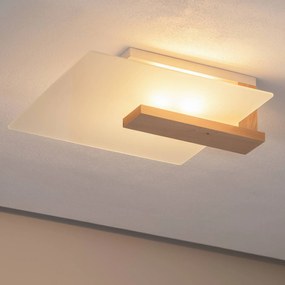 Plafoniera soffitto Peach Puff Envostar, dimmerabile, Legno chiaro, Soggiorno / Sala da pranzo, Vetro, Moderno, Plafoniera