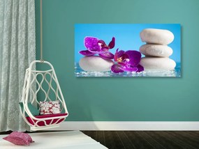 Quadro su tela – Natura morta per il benessere