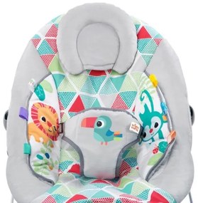 Bright Starts - Culla vibrante per bambini con melodia  TOUCAN TANGO