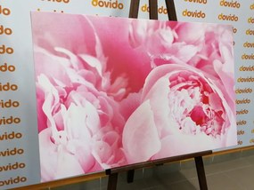 Stampa su tela – Petali di fiore