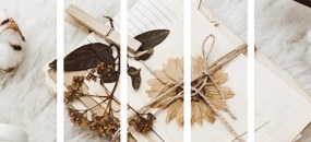 Quadri 5 pezzi – Collezione di foglie antiche