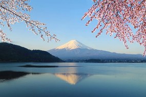 Carta da parati – Vista dal lago sul Fuji