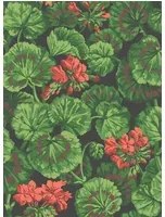 Cole & Son Carta da parati Geranium - Rouge/ Green on Black