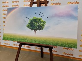 Stampa su tela – Albero solitario nel prato