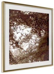 Poster  In the Shade of Trees  Cornice Quadri Cornice d'oro, Larghezza x Altezza Home decor 20x20