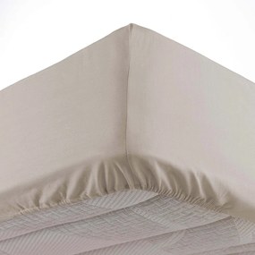 Lenzuolo beige in microfibra elasticizzata 90x190 cm Oscar - douceur d'intérieur