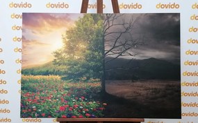 Stampa su tela – Due aspetti dell'albero