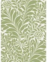 Cole & Son Carta da parati Honeysuckle - Spring Green